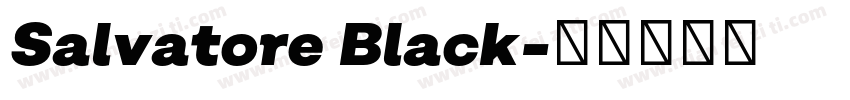 Salvatore Black字体转换